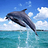 Patryk_Royce